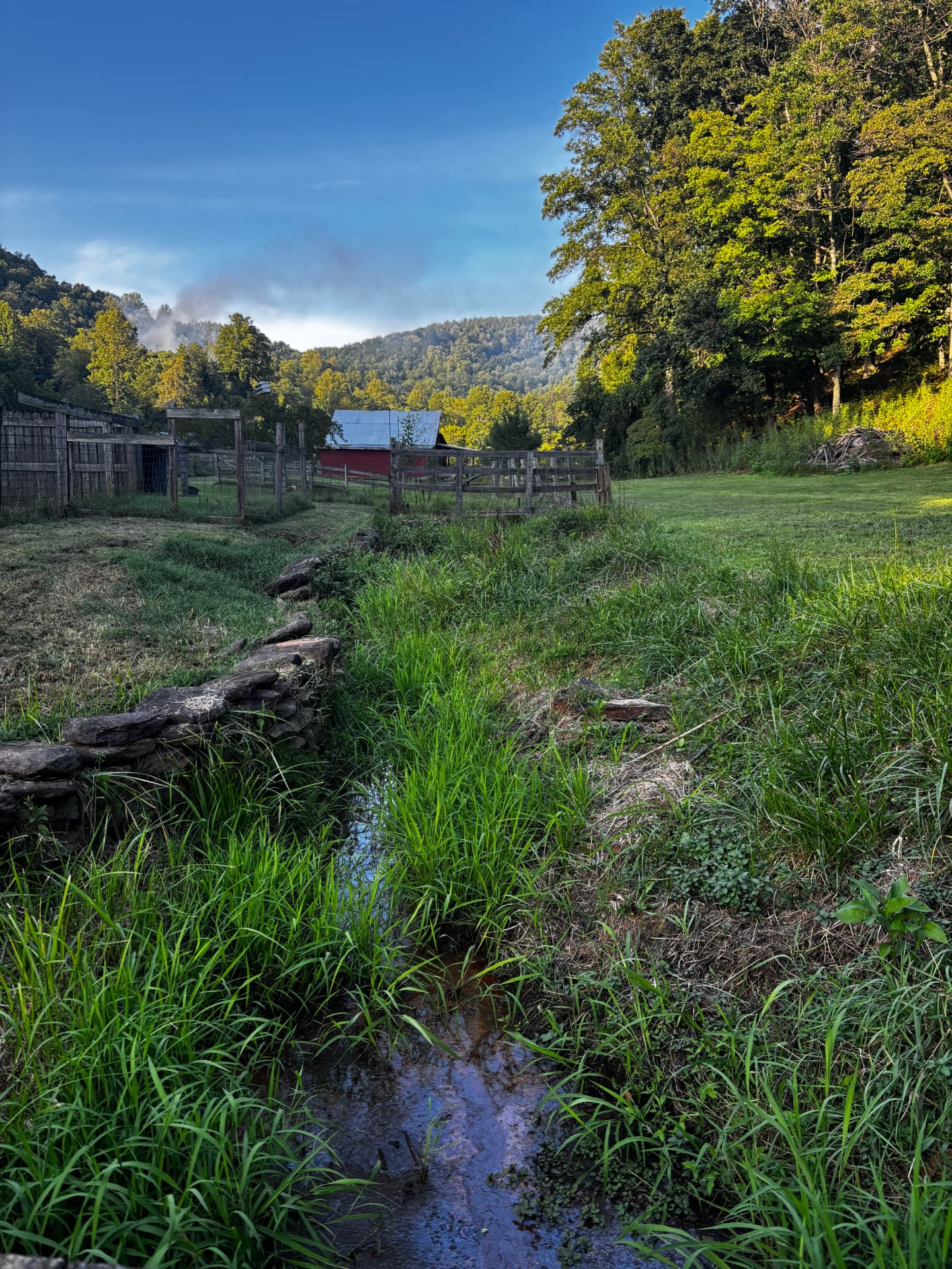 A creek winding through pasture toward the red barn at Free Holler Farm