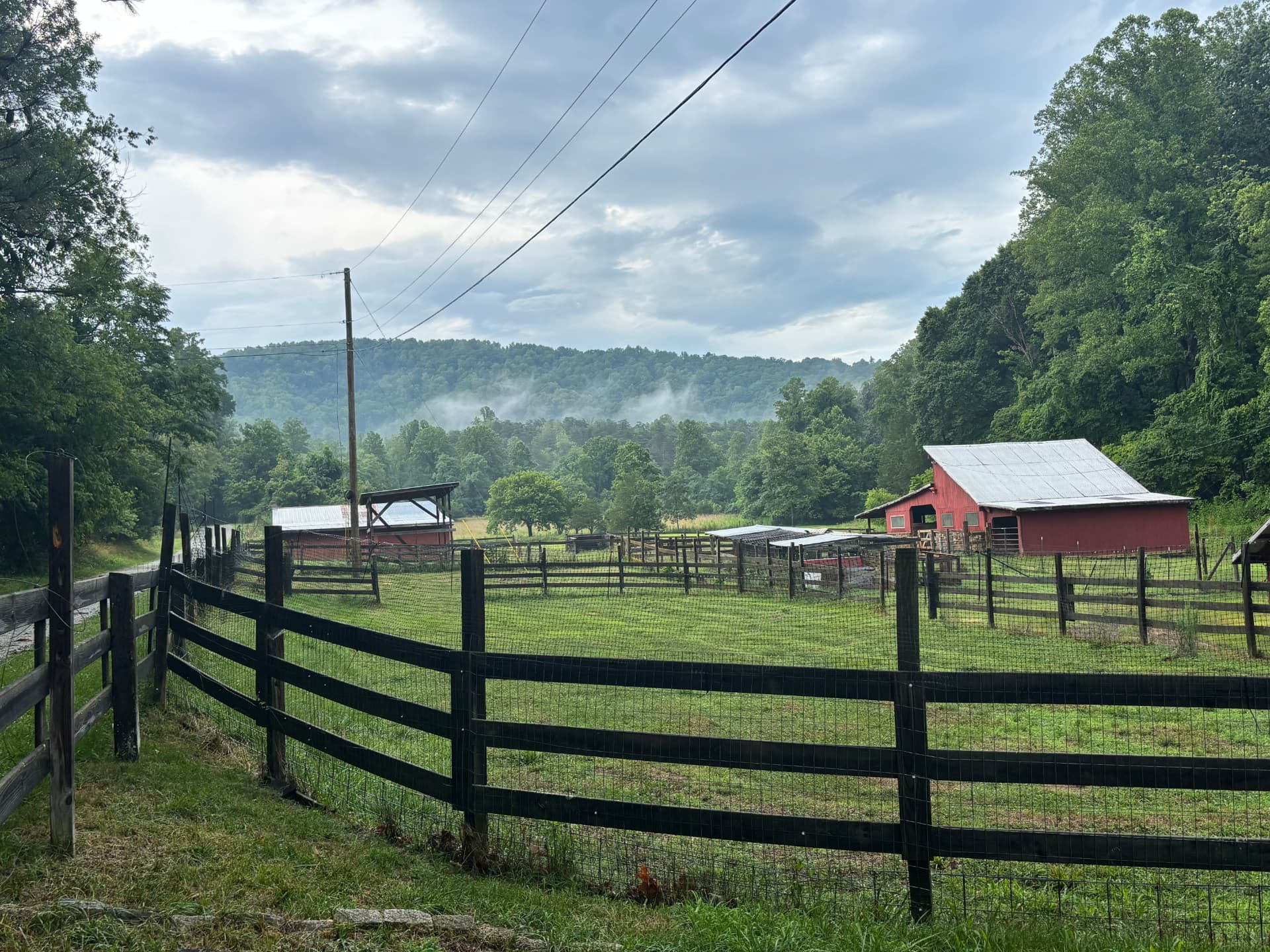 Red barns and outbuildings of Free Holler Farm nestled in a misty Blue Ridge hollow