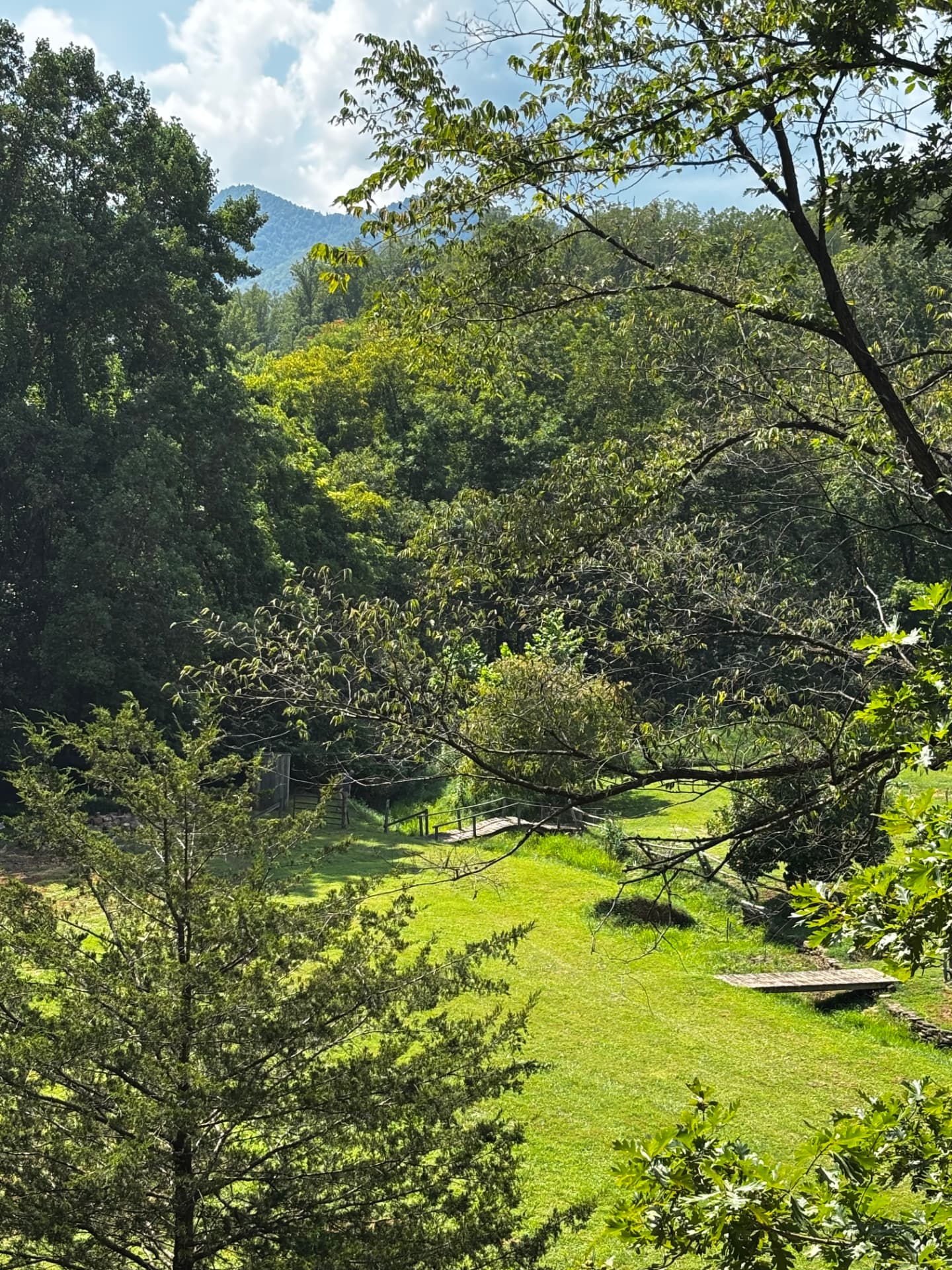 The green hollow below the cabin with the mountain rising beyond