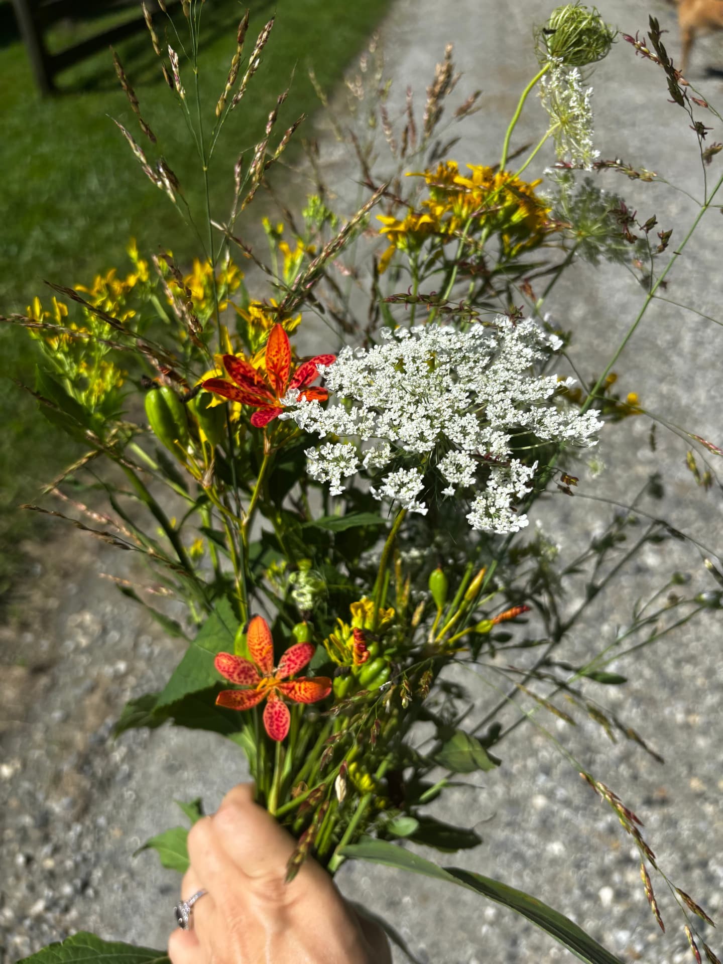 A hand holding a freshly picked bouquet of wildflowers from the hollow