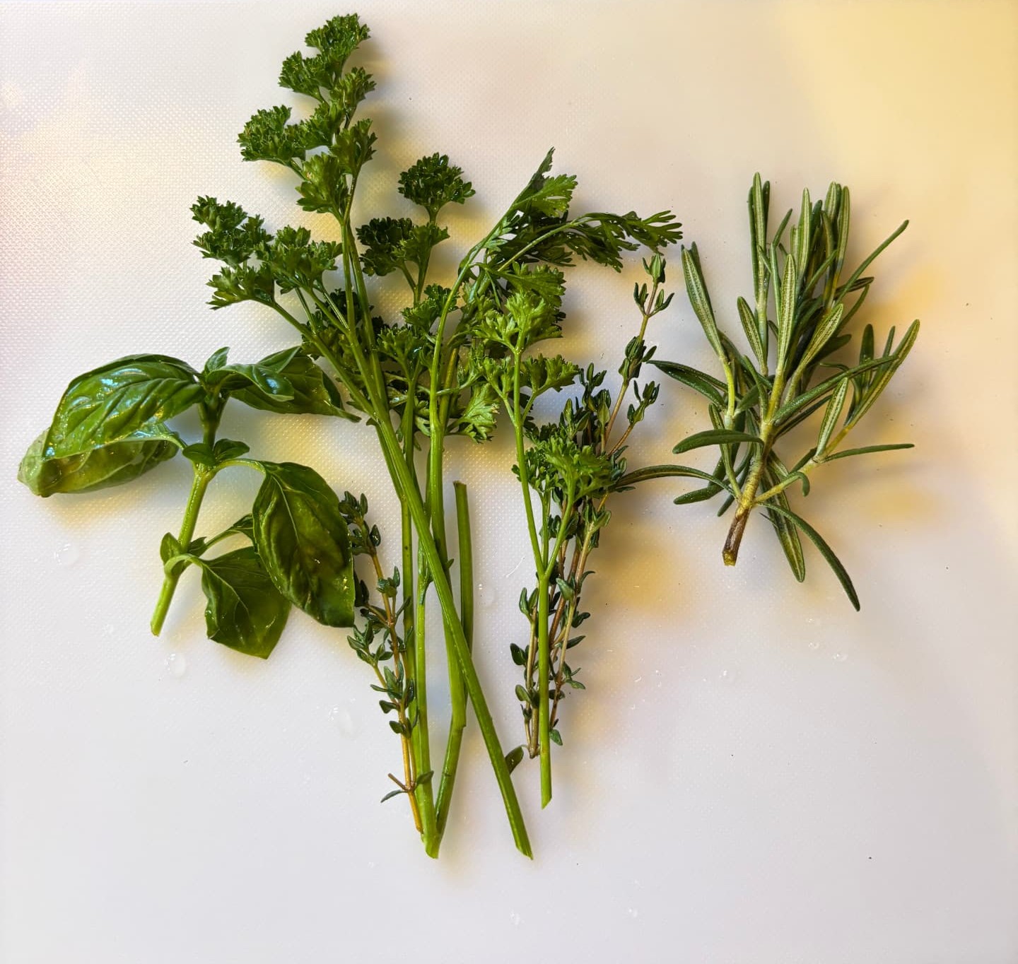 Fresh herbs from the garden at Free Holler Farm